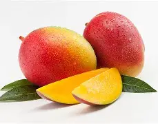 Mangue